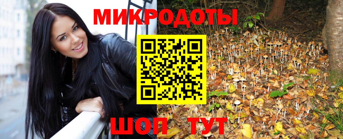 Псилоцибиновые грибы GOLDEN TEACHER  Вход с VPN  Владикавказ 